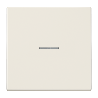 Одинарная клавиша с окошком для балансирных механизмов выключателей (кнопок), в комплекте с CD90HP (крепежный элемент), возможно IP44; дюропласт; слоновая кость; LS990, LS990KO5 Одинарная клавиша с окошком для балансирных механизмов выключателей (кнопок), в комплекте с CD90HP (крепежный элемент), возможно IP44; дюропласт; слоновая кость; LS990, LS990KO5
