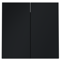 Клавиши для выключателя/переключателя двухклавишного, S70 (графит), VLS000307