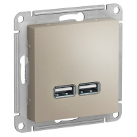 IRIDIUM Розетка USB с двумя разъемами типа A, 5 В, 1 порт 2,1 А, 2 порта 1,05 А, Цвет шампань, M0403