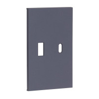 USB+type с накладкой 2-ух модульная цвет-Грифель матовый Meiton, AL12C