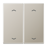 Клавиша для кнопки BCU; благородная сталь, ES2995MP