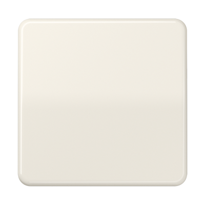 Одинарная клавиша для балансирных механизмов выключателей (кнопок), в комплекте с CD90HP (крепежный элемент), возможно IP44; дюропласт; слоновая кость; CD500, CD590