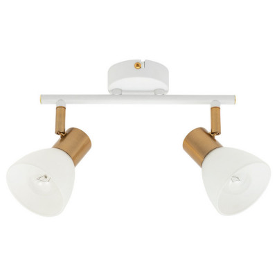 Arte Lamp FALENA, Светильник потолочный, цвет арматуры - белый, цвет плафона/декора - БЕЛЫЙ, 2х40W E14, A3117PL-2WH