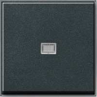 029067 Gira Клавиша с подсветкой