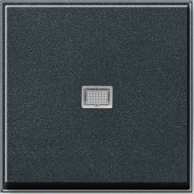 029067 Gira Клавиша с подсветкой