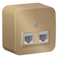 BLANCA О/У РОЗЕТКА двойная компьютерная RJ45, кат.5E, ИЗОЛ.ПЛ., ТИТАН