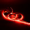 Лента Gauss LED 2835/60-SMD 4.8W 12V DC красный (блистер 5м), 312000705