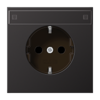 SCHUKO розетка с полем для надписи и защитой от детей, AL1520KINAD