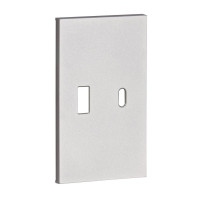 USB+type с накладкой 2-ух модульная цвет-серый матовый Meiton, AS12C