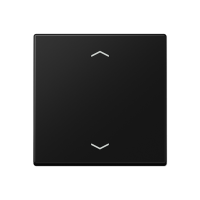 Центральная плата стандарт с символами «стрелки»; термопласт; черный матовый, A1700BFPSWM