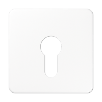 центральная плата для вставки с ключом, CD525WW