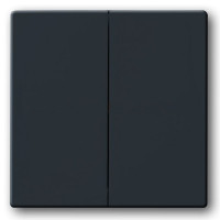 1785-81 1751-0-2930 Solo/future Клавиша для механизма 2-клавишных выключателей/переключателей/кнопок, антрац 2 1785-81 1751-0-2930 Solo/future Клавиша для механизма 2-клавишных выключателей/переключателей/кнопок, антрац 2