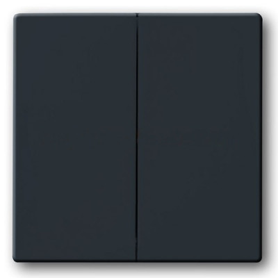 1785-81 1751-0-2930 Solo/future Клавиша для механизма 2-клавишных выключателей/переключателей/кнопок, антрац 2