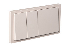 Блок: Выключатель 2-клавишный с розеткой 2к+з, цвет - Шампань, серия D-Life