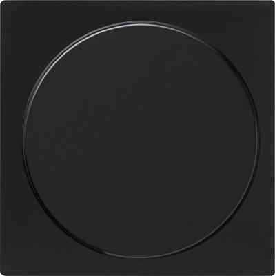 026847 Gira Заглушка с опорной платой