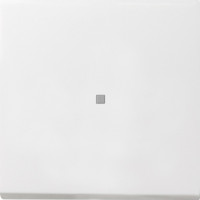 0290112 Gira Клавиша с подсветкой