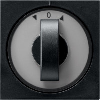 0666005 Gira Накладка с ручкой для жалюзи