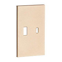 USB+type с накладкой 2-ух модульная цвет-шампань матовый Meiton, ACH12C USB+type с накладкой 2-ух модульная цвет-шампань матовый Meiton, ACH12C