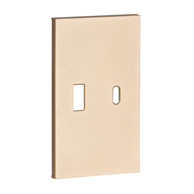 USB+type с накладкой 2-ух модульная цвет-шампань матовый Meiton, ACH12C