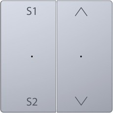 D-Life PlusLink Клавиша 2-ная с S1/S2, с символами, нерж. сталь
