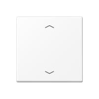 Центральная плата стандарт с символами «стрелки»; термопласт; белый матовый, A1700BFPWWM