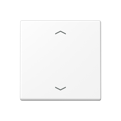 Центральная плата стандарт с символами «стрелки»; термопласт; белый матовый, A1700BFPWWM