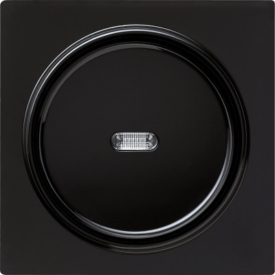 013647 Gira Выключатель с клавишей с подсветкой