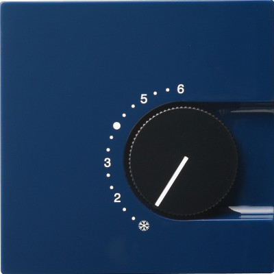 Терморегулятор с переключающим контактом