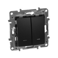 Legrand Выключатель двухклавишный с подсветкой/индикацией - Legrand Etika - 10А 250В безвинтовые зажимы - антрацит, 672604