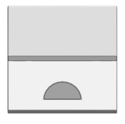 N2201.9 CV - Клавиша 1-клавишного 2-модульного выключателя/переключателя/кнопки с окном для шильдика с символом, серия Zenit, цвет шампань - 2CLA220190N1901