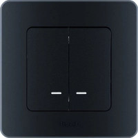 Legrand Inspiria Выключатель 2-х клавишный с подсветкой, цвет антрацит Legrand Inspiria Выключатель 2-х клавишный с подсветкой, цвет антрацит
