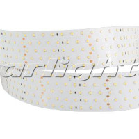 Светодиодная лента RT 2-2500 24V White6000 5x2 (2835, 875 LED, LUX) (Arlight, 36 Вт/м, IP20), 019082