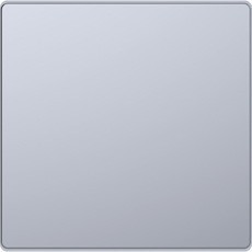 D-Life Клавиша 1-ная, нерж. сталь