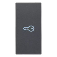 Vimar Клавиша для осевых устройств на 1 модуль символом "ключ", 20131.P