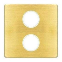 FD04316PB-A Fede Fede Плата монтажная для мех-змов TV/SAT  с 2-мя разъемами, Bright Patina/беж.