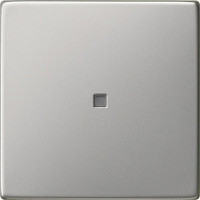 0290600 Gira Клавиша с контр. окном Sys55 Сталь