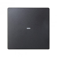 Simon 82 Detail Графит Клавиша с пиктограммой, 8200011-038