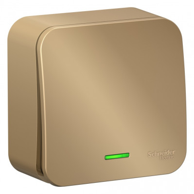 BLANCA О/У 1-клавишный ВЫКЛЮЧАТЕЛЬ (cх.1) с подсв., 10А, 250B, ТИТАН