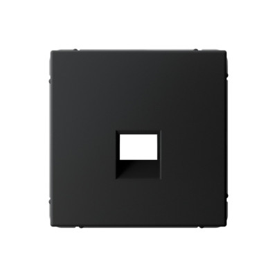 GAL001084 - ARTGALLERY НАКЛАДКА для информационных функций типа Keystone, КАРБОН, Systeme Electric