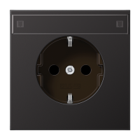 SCHUKO розетка с полем для надписи, AL1520NAD