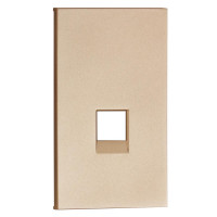 Интернет RG-45/RG11 лицевая панель 1 модульная цвет-шампань матовый Meiton, ACH07M2