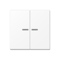 Клавиша для KNX кнопки, 2 группы, с окошком; термопласт; белый матовый, A102KO5BFWWM