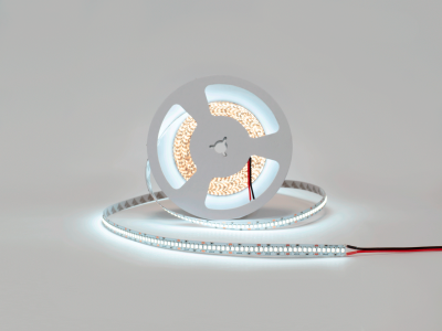 Светодиодная лента SWG Standard,  2835, 240 LED/м, 20 Вт/м, 24В , IP20, Цвет: Холодный белый, SWG2240-24-20-W-M