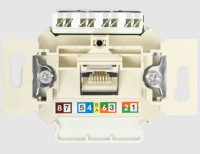 Двойная UAE розетка; категория 6, EPUAE8-8UPOK6US