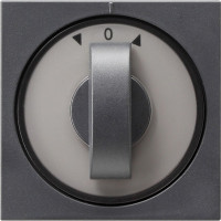 066628 Gira Накладка с ручкой для жалюзи