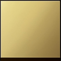 Накладка универсального диммера