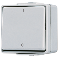 Выключатель двухполюсный,  для накладного монтажа IP44, 602W