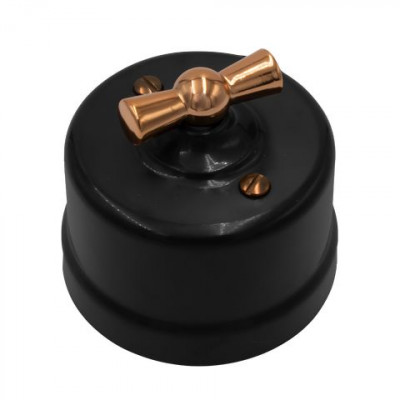 Bironi Выключатель 1-кл., проходной, пластик, цвет Черный, Медь, B1-201-23-C