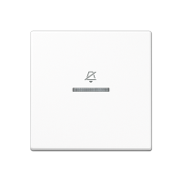 Двойная клавиша на гостиничный выключатель, комнатный модуль, ARUKO5DWW