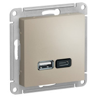 IRIDIUM Розетка USB с двумя разъемами типа A+С. Цвет шампань, M0503